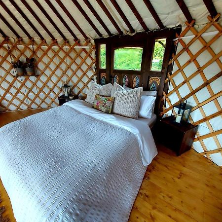 The Kites Rest At Castle Creavie Farm Hotel Kirkcudbright Eksteriør billede