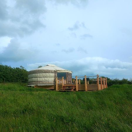 The Kites Rest At Castle Creavie Farm Hotel Kirkcudbright Eksteriør billede