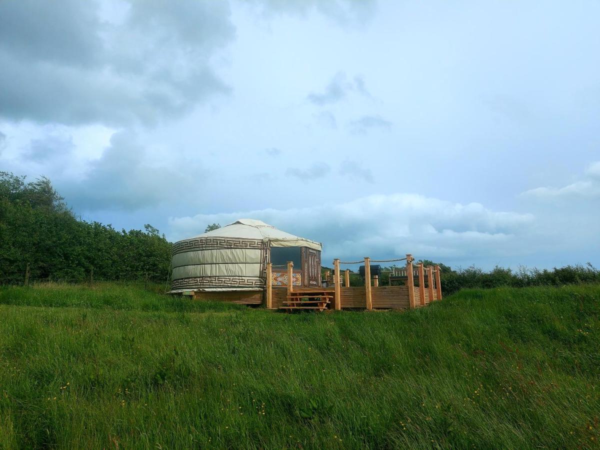 The Kites Rest At Castle Creavie Farm Hotel Kirkcudbright Eksteriør billede